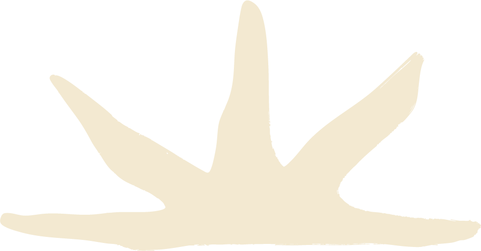 El Fuego Logomark - Krem